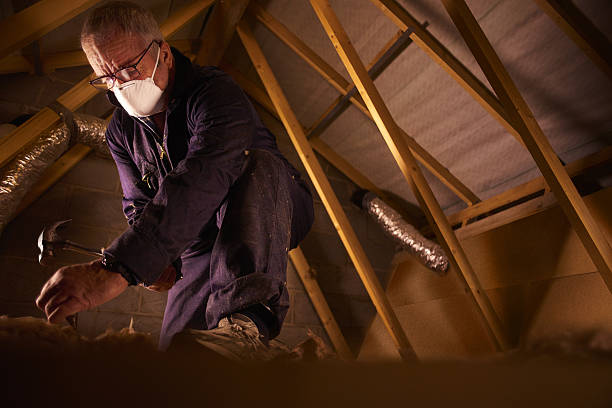 Best Home Insulation Services  in Centereach, NY